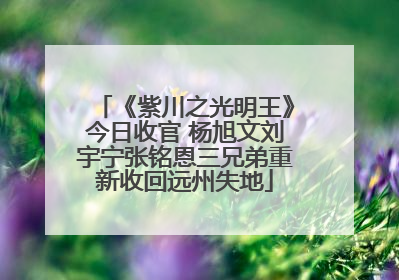 《紫川之光明王》今日收官 杨旭文刘宇宁张铭恩三兄弟重新收回远州失地
