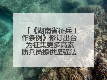 《湖南省征兵工作条例》修订出台 为征集更多高素质兵员提供坚强法治保障