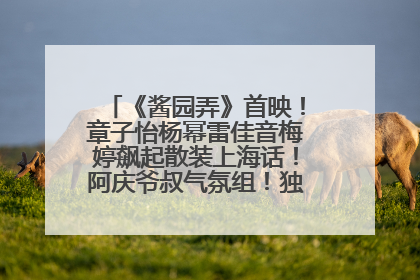 《酱园弄》首映！章子怡杨幂雷佳音梅婷飙起散装上海话！阿庆爷叔气氛组！独独没见他……