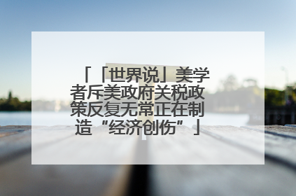 「世界说」美学者斥美政府关税政策反复无常正在制造“经济创伤”