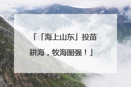 「海上山东」投苗耕海，牧海图强！