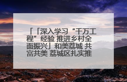 「深入学习“千万工程”经验 推进乡村全面振兴」和美荔城 共富共美 荔城区扎实推进乡村振兴工作