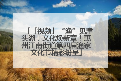 「视频」“渔”见津头湖，文化焕新章！惠州江南街道第四届渔家文化节精彩纷呈