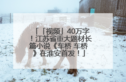 「视频」40万字！江苏省重大题材长篇小说《车桥 车桥》在淮安首发！