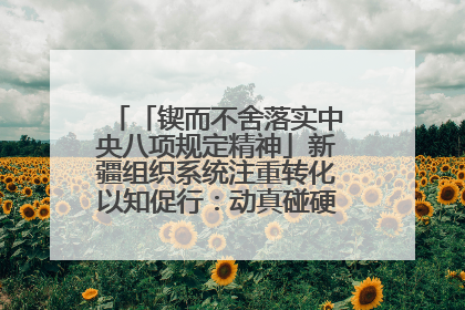 「锲而不舍落实中央八项规定精神」新疆组织系统注重转化以知促行：动真碰硬抓好整改整治