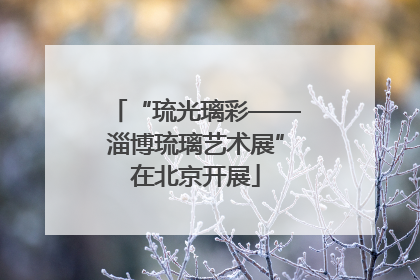 “琉光璃彩——淄博琉璃艺术展”在北京开展