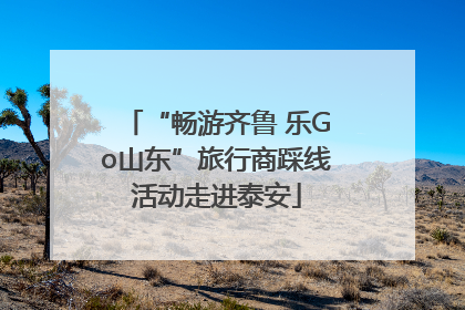 “畅游齐鲁 乐Go山东”旅行商踩线活动走进泰安