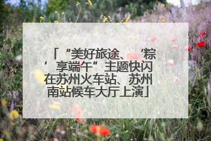 “美好旅途、‘粽’享端午”主题快闪在苏州火车站、苏州南站候车大厅上演