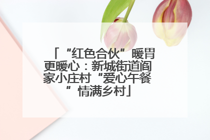 “红色合伙”暖胃更暖心：新城街道阎家小庄村“爱心午餐”情满乡村