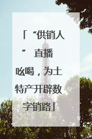 “供销人” 直播 吆喝，为土特产开辟数字销路