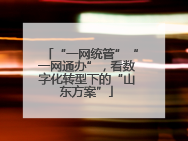 “一网统管”“一网通办”，看数字化转型下的“山东方案”