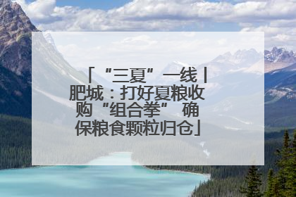 “三夏”一线丨肥城：打好夏粮收购“组合拳” 确保粮食颗粒归仓