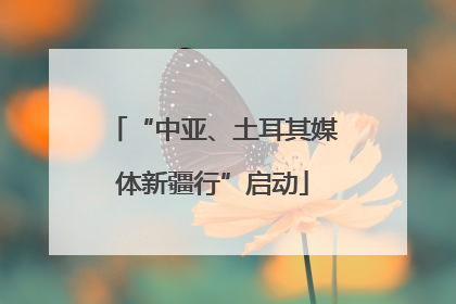“中亚、土耳其媒体新疆行”启动