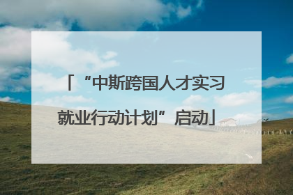 “中斯跨国人才实习就业行动计划”启动