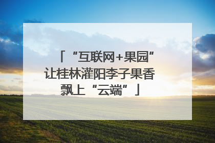 “互联网+果园”让桂林灌阳李子果香飘上“云端”