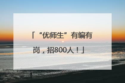 “优师生”有编有岗，招800人！