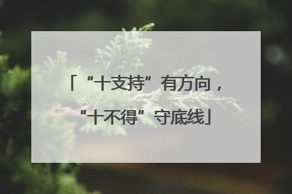 “十支持”有方向，“十不得”守底线