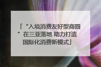 “入境消费友好型商圈”在三亚落地 助力打造国际化消费新模式