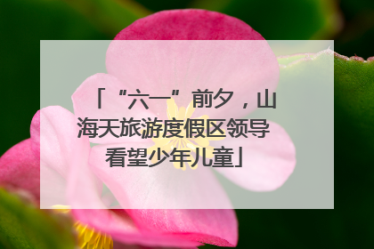 “六一”前夕，山海天旅游度假区领导看望少年儿童