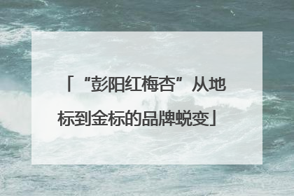 “彭阳红梅杏”从地标到金标的品牌蜕变