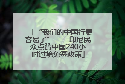 “我们的中国行更容易了”——印尼民众点赞中国240小时过境免签政策