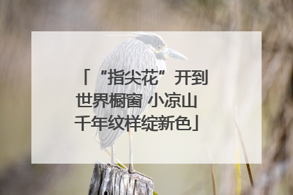 “指尖花”开到世界橱窗 小凉山千年纹样绽新色
