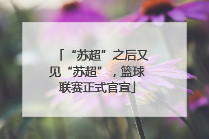 “苏超”之后又见“苏超”，篮球联赛正式官宣