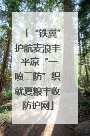 “铁翼”护航麦浪丰 平凉“一喷三防”织就夏粮丰收防护网