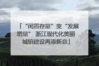 “闲置存量”变“发展增量” 浙江现代化美丽城镇建设再添新意