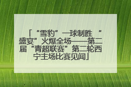 “雪豹”一球制胜 “盛宴”火爆全场——第二届“青超联赛”第二轮西宁主场比赛见闻
