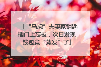 “马虎”夫妻家钥匙插门上忘拔，次日发现钱包竟“蒸发”了