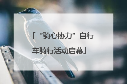 “骑心协力”自行车骑行活动启幕