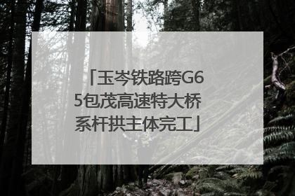 玉岑铁路跨G65包茂高速特大桥系杆拱主体完工