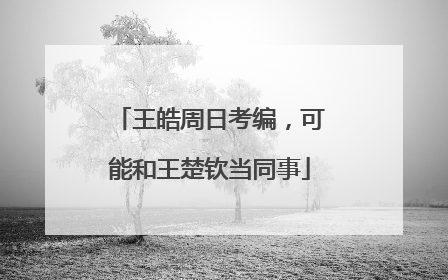 王皓周日考编，可能和王楚钦当同事