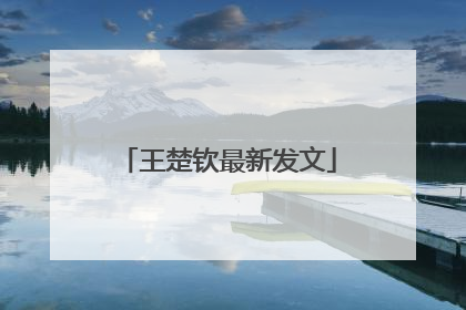 王楚钦最新发文