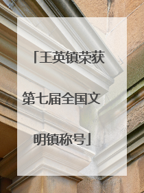 王英镇荣获第七届全国文明镇称号