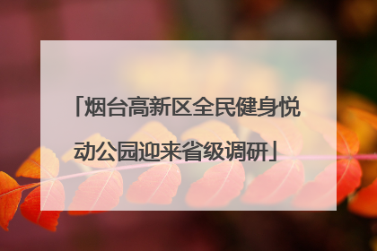 烟台高新区全民健身悦动公园迎来省级调研