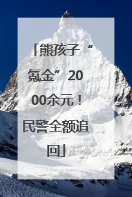 熊孩子“氪金”2000余元！民警全额追回