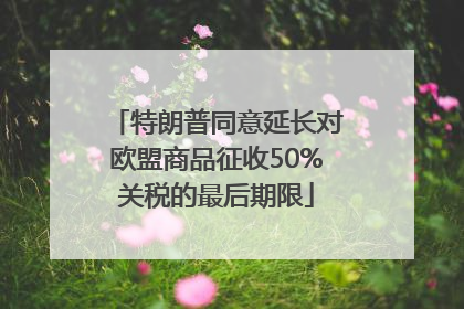 特朗普同意延长对欧盟商品征收50%关税的最后期限