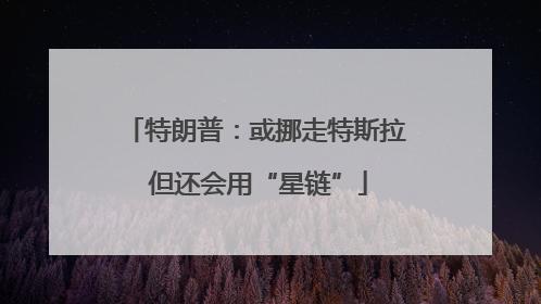 特朗普：或挪走特斯拉 但还会用“星链”