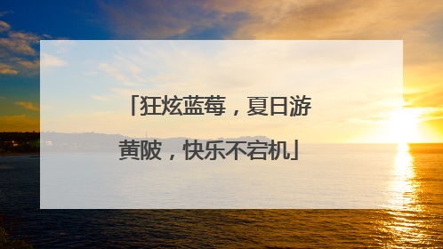 狂炫蓝莓，夏日游黄陂，快乐不宕机