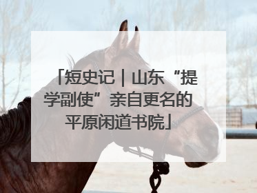 短史记｜山东“提学副使”亲自更名的平原闲道书院