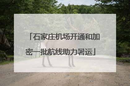 石家庄机场开通和加密一批航线助力暑运