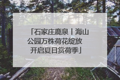 石家庄鹿泉丨海山公园万株荷花绽放 开启夏日赏荷季
