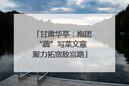 甘肃华亭：抱团“蔬”写菜文章 聚力拓宽致富路