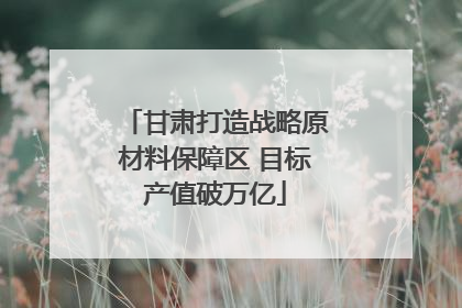甘肃打造战略原材料保障区 目标产值破万亿