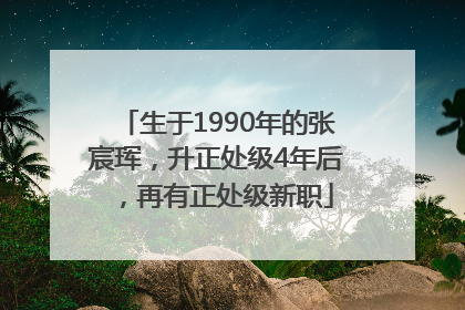 生于1990年的张宸珲，升正处级4年后，再有正处级新职