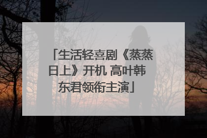 生活轻喜剧《蒸蒸日上》开机 高叶韩东君领衔主演