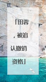 田蓉，被追认撤销资格