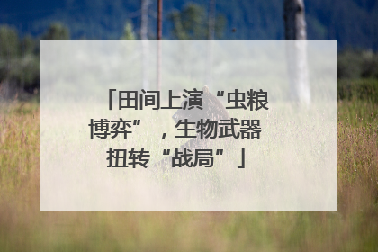 田间上演“虫粮博弈”，生物武器扭转“战局”